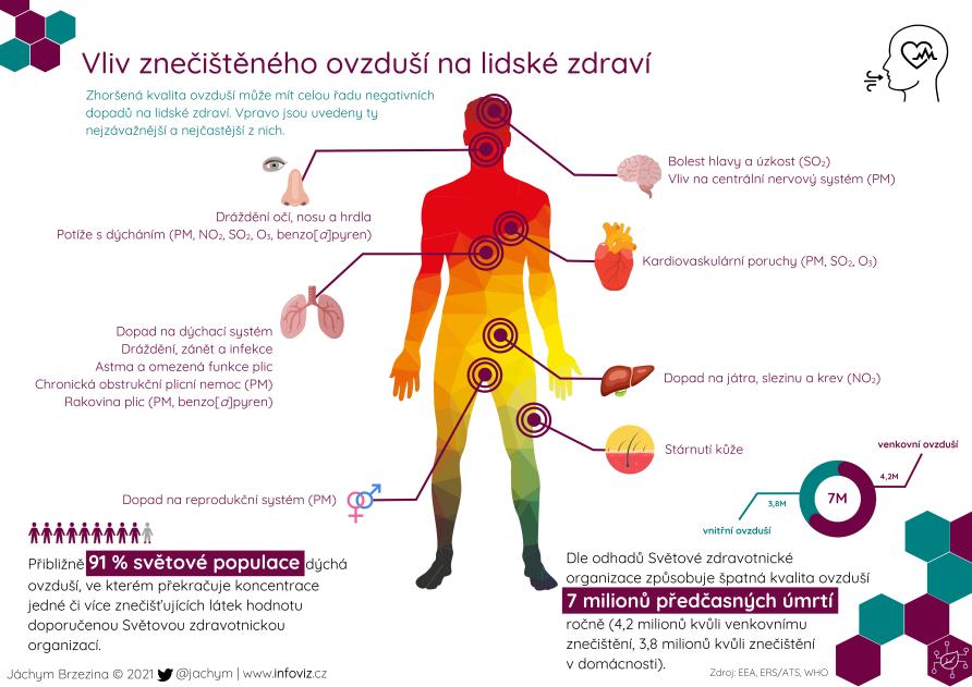 Vliv znečištěného ovzduší na zdraví
